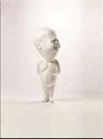 Viktor Freso (Bajcurova Katarina)(Pevná vazba)