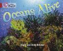Oceans Alive (Belcher Angie)(Paperback)