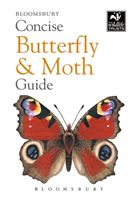 Concise Butterfly and Moth Guide (Bloomsbury)(Paperback / softback)