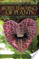 Secret Teachings of Plants - The Intelligence of the Heart in Direct Perception to Nature (Buhner Stephen Harrod)(Paperback)