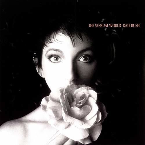 The Sensual World (Kate Bush) (Vinyl / 12