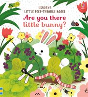 Are you there Little Bunny? (Taplin Sam)(Board book)