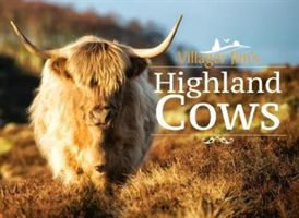 Villager Jim's Highland Cows (Jim Villager)(Pevná vazba)