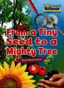 Fundamental Science Key Stage 1: From a Tiny Seed to a Mighty Tree: How Plants Grow (Owen Ruth)(Paperback)