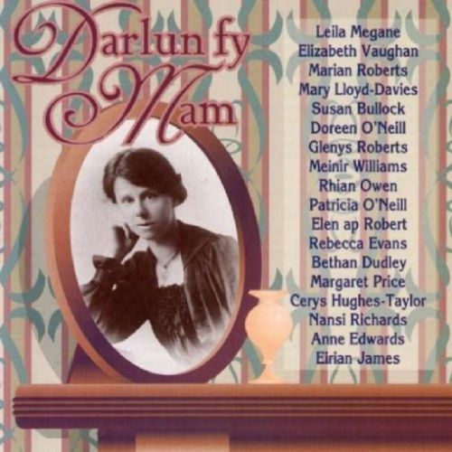 Darlun Fy Mam (Various) (CD / Album)