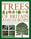 Illustrated Encyclopedia of Trees of Britain and Europe - The Ultimate Reference Guide and Identifier to 550 of the Most Spectacular, Best-Loved and Unusual Trees, with 1600 Specially Commissioned Illustrations and Photographs (Russell Tony)(Paperback)