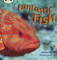 Fantastic Fish (Lynch Emma)(Paperback / softback)