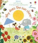 Why Does the Sun Shine? (Daynes Katie)(Board book)