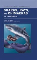 Sharks, Rays, and Chimaeras of California (Ebert David)(Paperback)