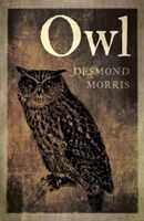 Owl (Morris Desmond)(Paperback)