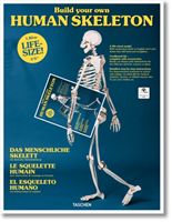 Build Your Own Human Skeleton - Life Size! (Unknown)(Book)