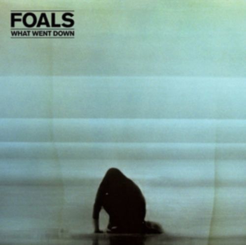 What Went Down (Foals) (Vinyl / 12
