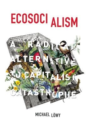 Ecosocialism - A Radical Alternative to Capitalist Catastrophe (Lowy Michael)(Paperback / softback)