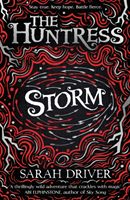 Storm (Driver Sarah)(Paperback)