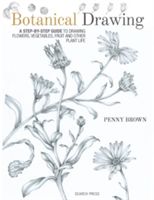 Botanical Drawing - A Step-by-Step Guide to Drawing Flowers, Vegetables, Fruit and Other Plant Life (Brown Penny)(Paperback)