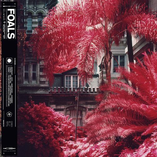 Everything Not Saved Will Be Lost (Foals) (Vinyl / 12