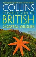 British Coastal Wildlife (Sterry Paul)(Paperback)