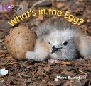 What's in the Egg? - Band 00/Lilac (Butterfield Moira)(Paperback)