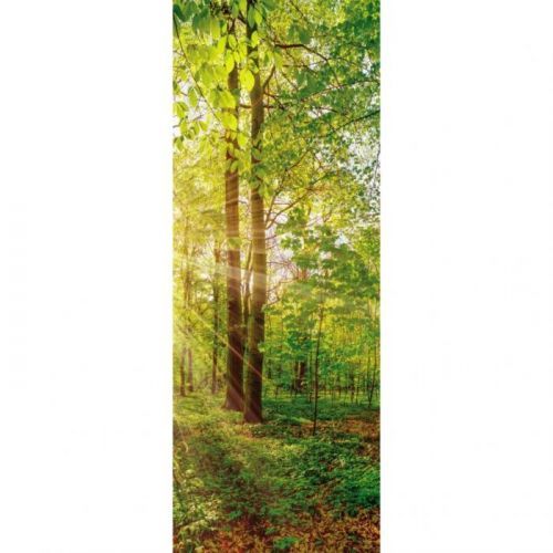 Obraz S Napínacím Rámem Stromy 30/80/3 Cm