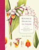 Botanical Drawing in Color - A Basic Guide to Mastering Realistic Form and Natural Color (Hollender Wendy)(Paperback)