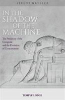 In the Shadow of the Machine: The Prehistory of the Computer and the Evolution of Consciousness - The Prehistory of the Computer and the Evolution of Consciousness (Naydler Jeremy)(Paperback)