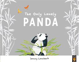 Only Lonely Panda (Lambert Jonny)(Paperback)