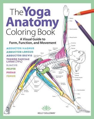 Yoga Anatomy Coloring Book - A Visual Guide to Form, Function, and Movement (Solloway Kelly)(Paperback / softback)