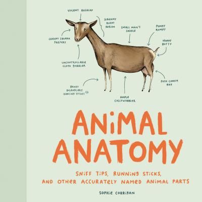 Animal Anatomy - Sniff tips, running sticks, and other accurately named animal parts (Corrigan Sophie)(Pevná vazba)
