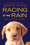 Racing in the Rain - My Life as a Dog (Stein Garth)(Paperback)