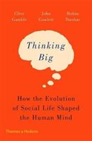 Thinking Big: How the Evolution of Social Life Shaped the Human Mind - How the Evolution of Social Life Shaped the Human Mind (Gamble Clive)(Paperback)