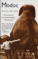Modoc - The True Story of the Greatest Elephant That Ever Lived (Helfer Ralph)(Paperback)