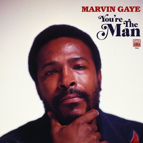 You're the Man (Marvin Gaye) (Vinyl / 12