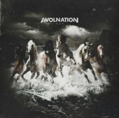 Run (AWOLNATION) (Vinyl / 12
