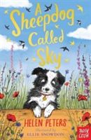 Sheepdog Called Sky (Peters Helen)(Paperback)