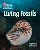 Living Fossils - Band 7/Turquoise (Morgan Sally)(Paperback)