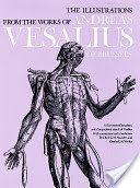 Illustrations from the Works of Andreas Vesalius of Brussels (Vesalius Andreas)(Paperback)