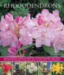 Rhododendrons (Hawthorne Lin)(Paperback)