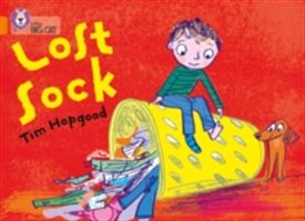 Lost Sock(Paperback)
