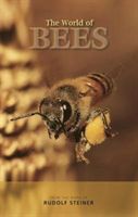 World of Bees (Steiner Rudolf)(Paperback)