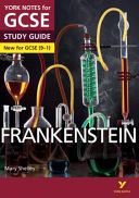 Frankenstein: York Notes for GCSE (Fairbairn-Dixon Alexander)(Paperback)