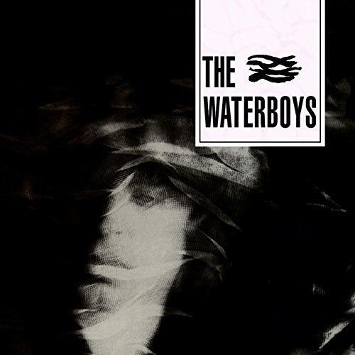 The Waterboys (The Waterboys) (CD / Album)