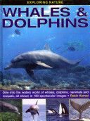 Exploring Nature: Whales & Dolphins - Dive into the Watery World of Whales, Dolphins, Narwhals and Rorquals, All Shown in 190 Spectacular Images (Kerrod Robin)(Pevná vazba)