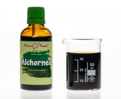 Alchornea - bylinné kapky (tinktura) 50 ml