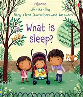 What is Sleep? (Daynes Katie)(Board book)