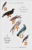 Raptor - A Journey Through Birds (Lockhart James Macdonald)(Paperback)