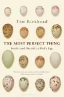 MOST PERFECT THING (Birkhead Tim)(Paperback)