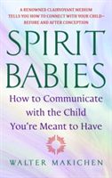 Spirit Babies: How to Communicate with the Child You're Meant to Have (Makichen Walter)(Paperback)
