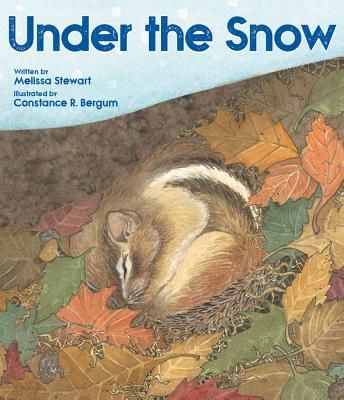Under the Snow (Stewart Melissa)(Paperback)
