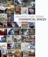 Architecture Today: Commercial Spaces(Pevná vazba)
