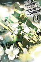 Is It Wrong to Try to Pick Up Girls in a Dungeon?, Vol. 12 (Light Novel) (Omori Fujino)(Paperback / softback)